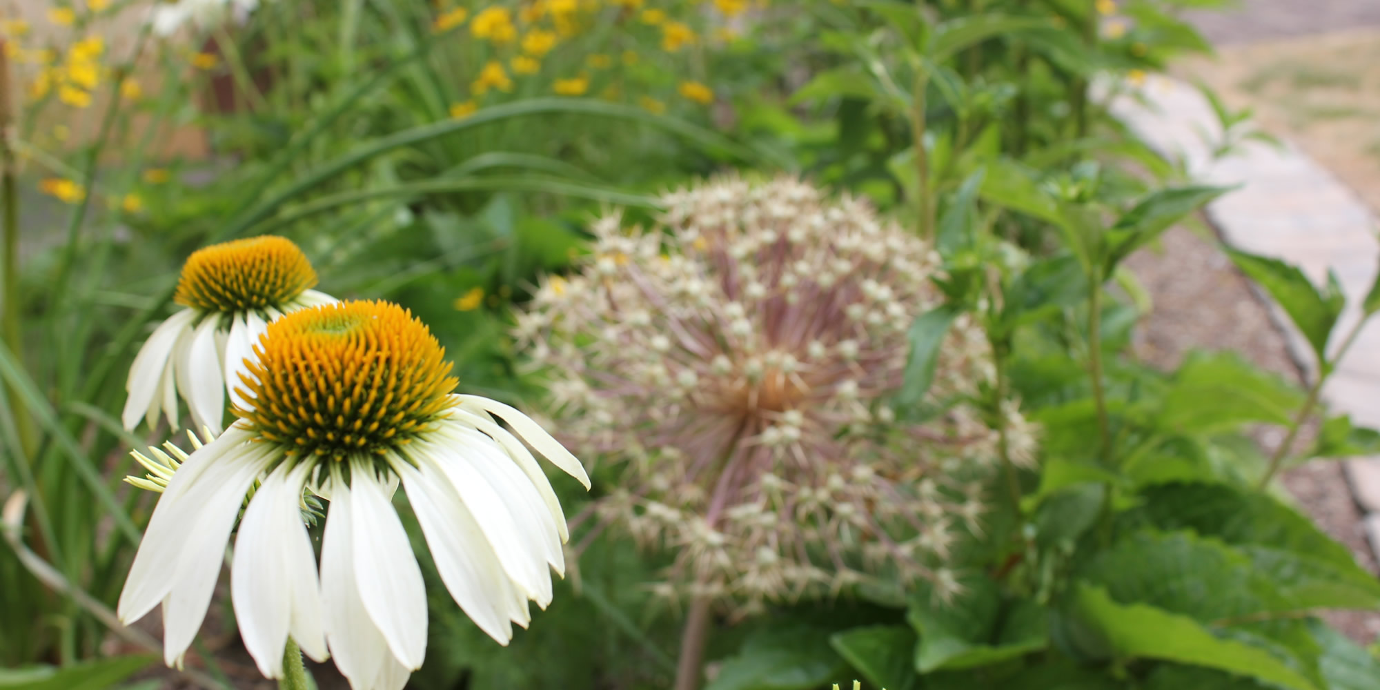 Gartengestaltung in Nürnberg
